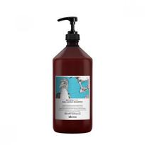 Davines Wellbeing Shampoo 1000ml  +oai Shampoo 90ml   Milk 4ml Single option