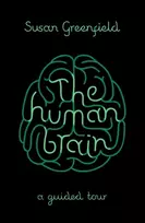 KNYGA Susan Greenfield Human Brain