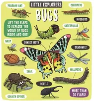 KNYGA Staff Dynamo Little Explorers: Bugs