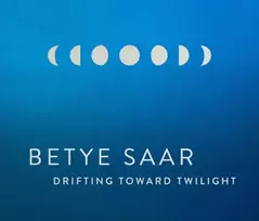 KNYGA Betye Saar: Drifting toward Twilight