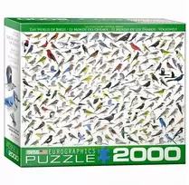 Eurographics Pasaulio paukščių dėlionė 2000 dalių – David Sibley koliažas