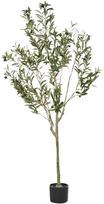 Beliani Dirbtinis augalas, alyvmedis, 153 cm