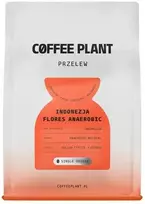 Coffee Plant KAVOS AUGALAS - Indonezija Flores anaerobinis filtras 250 g
