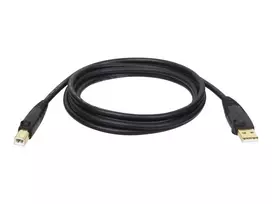 Tripp Lite U022-015 USB 2.0 A/B laidas, 15 ft (4.57 m), juodas