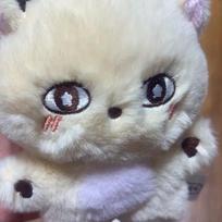 Shoshin's new product launch (including Poka)