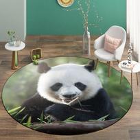 Mielas Pandos Grindų Kilimėlis Vaikams Apvalus Kūdikių Kilimas Kambariui Mikropluošto Super Minkštas Kilimas Miegamajam Kempinės Vonios Kilimėlis Plaunamas Kawaii Dekoravimas 60cm x 60cm