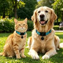 Apple Find My Certified Dog Cat Collar Tracker Anti Lost IP68 Waterproof Reflective Nylon S M L Black Blue Red Teal (Blue,S) mėlyna