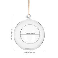 2Pcs High-Grade Glass Hanging Globe Terrarium with Rustproof Design for Air Plants DIY Terrariums Home Garden Office Natural