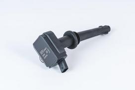 BorgWarner (BERU) Uždegimo ritė ZSE204