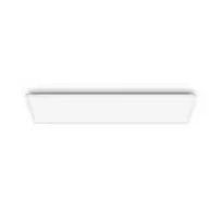Philips Functional Panel LED lubinis šviestuvas 36 W stačiakampis 300×1200×42 mm baltas