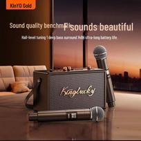 KINYO Bluetooth Karaoke Speaker CN plug (adapter included)