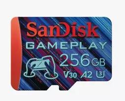 MEMORY MICRO SDXC 256GB UHS-I/SDSQXAV-256G-GN6XN SANDISK