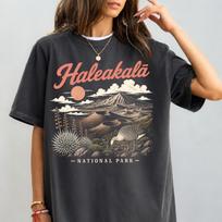 Haleakalā National Park Shirt, Vintage Maui Volcano Tee, Retro Hawaiian Goose Graphic, Sunrise Crater Adventure Gift, Hawaii Nature Lover M