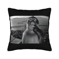 Funny Thinking Monkey Meme Curious Ape Brainrot Gift Pillowcase Cushion Cover Decoration Pillow Case Cover Bedroom Square 18'' Peach skin 18*18(CM)-1Pcs
