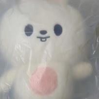STRAY KIDS Ski-up Flash Backpack Ribbit