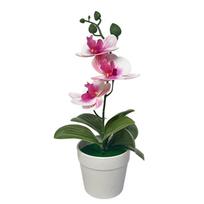 Phalaenopsis Orchidėja Bonsas Dirbtinis Vazoninis Augalas Svetainės Biuro Miegamojo Dekoravimui Plastikinė Medžiaga 10 Spalvų Variantų violetinė širdies spalva