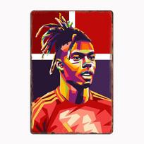 Nico Williams Minimalistinis Futbolo Žaidėjas Retro Metalinis Plakatas Ženklas Klubo Sienos Tapyba Sienos Dailė Plokštelė Skardinė Kambario Dekoracija Namų Dekoravimas 30x40cm(11.8x15.7inch)