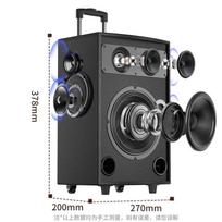 Suoai SA-X71 8-inch Portable Wooden Bluetooth Karaoke Speaker with Dual Microphones CN plug (adapter included)