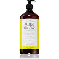 Waterclouds Relieve Active Shampoo šampūnas nuo pleiskanų 1000 ml