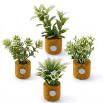 4 augalų šaldytuvo magnetukai, mini vazonėlių magnetukai su dirbtiniais augalais, mieli šaldytuvo magnetukai virtuvės namų dekoravimui Pack of 4
