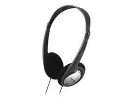 Ausinės Panasonic RP-HT030E-S sidabrinės