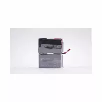 Eaton EB010SP UPS baterija, sandarus švino rūgštinis akumuliatorius 6 V 9 Ah, 2 vnt.