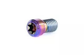 Ethic Clamp Titanium Screw Raw