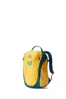 Vaikiška kuprinė Gregory Wander 8 Aqua Yellow
