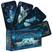 Sleeping Spirits kortos Publishing