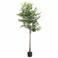 Dirbtinis fikusas, žalios spalvos, 170cm, 756 lapai