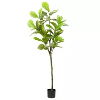Dirbtinis fikusas, žalios spalvos, 165cm, 48 lapai