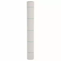 Membrana nuo piktžolių, baltos spalvos, 1x10m, PP