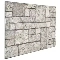 Sienų plokštės 10 pcs Pilka 100 x 50 cm EPS putos