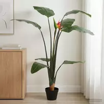 Dirbtinis Strelitzia Augalas Žalia 70 x 18 x 155 cm