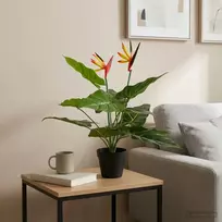Dirbtinis Strelitzia Augalas Žalia 65 x 13 x 55 cm