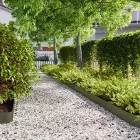 vejos apvadai 10 vnt Olive Green šaltai valcuotas plienas