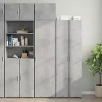 Siaura spintelė daiktams, betono pilka, 50x42,5x225cm, mediena