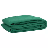 Priekabos Tinklas, Žalias, 1,5x2,2 m, HDPE