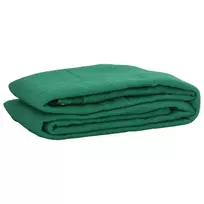 Priekabos Tinklas, Žalias, 2x3 m, HDPE