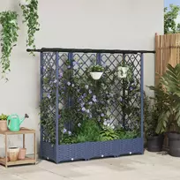 Pakeltas lovas su trelėmis ir stogu Pilka 164 x 40 x 123 cm PP