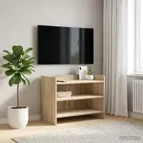 Televizoriaus spintelė 60 x 33 x 47 cm Sonoma ąžuolas