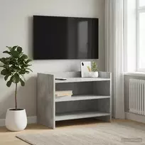 Televizoriaus spintelė 60 x 33 x 47 cm Betono pilka