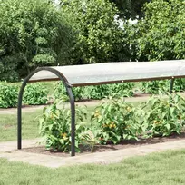 Augalų uždangalas Skaidrus 20 x 1,5 m PE