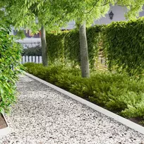 Vejo kraštas 30 pcs 103 x 10 cm Plienas Balta