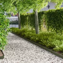 Vejo kraštas 30 pcs 103 x 10 cm Plienas Alyvuogių žalia
