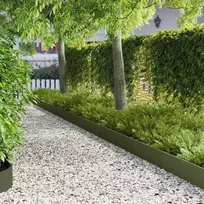 Vejo kraštas 20 pcs 103 x 20 cm Plienas Alyvuogių žalia