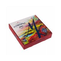 Guašų rinkinys dailei "Master Class" 20 ml, 16 spalvų
