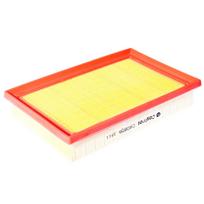 Oro filtras Castrol Filters CA0856