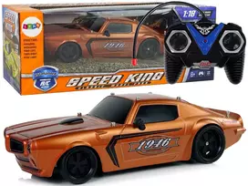 LEAN TOYS R/C Sports Car 1:18 Brown Champion Pilot