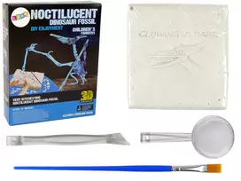 LEAN TOYS Archeologijos kasinėjimų rinkinys Dinozaurų skeletas Pteranodonas 3D holograma